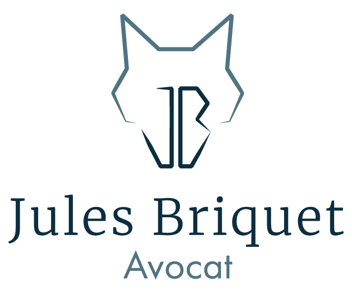 Jules Briquet